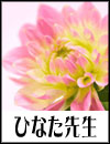 �ЂȂ��搶